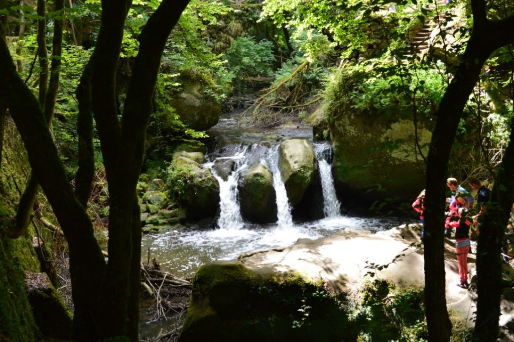 Wandern Müllerthal Luxemburg Wasserfall