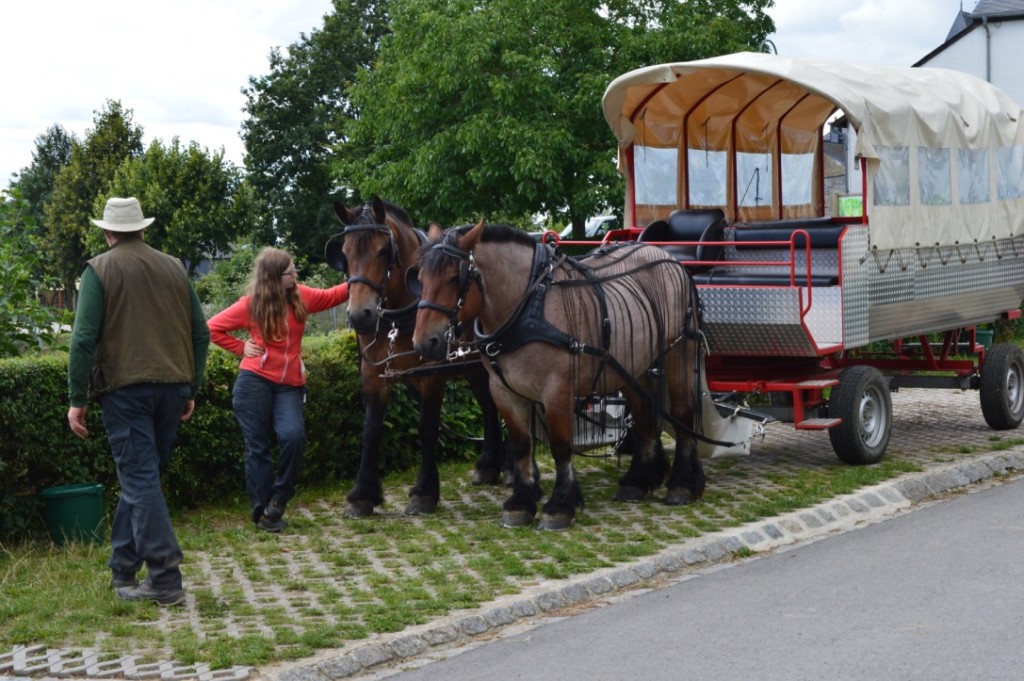 Tourist Center Robbesscheier in Munshausen Luxemburg Familienurlaub 