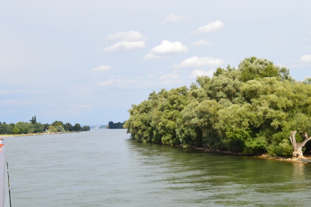 Rhein A-Rosa Flusskreuzfahrt