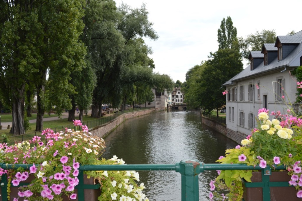 Rhein A-Rosa Flusskreuzfahrt Straßburg