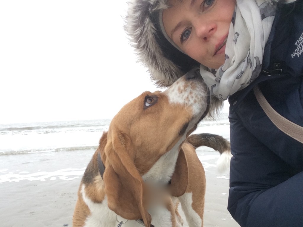 St. Peter-Ording Nordsee Wattenmeer Strand Wasser Hund Beagle Wochenende sorgenfrei