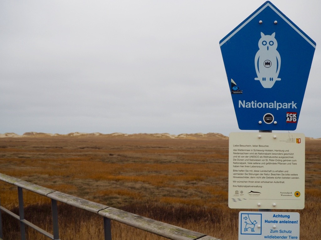 St. Peter-Ording Nordsee Wattenmeer Strand Nationalpark Naturschutz Hund Beagle Wochenende